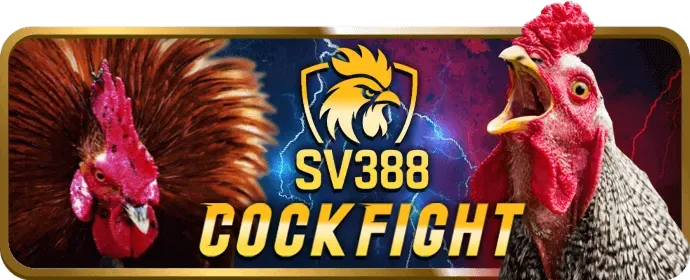 Cá cược quần vợt vb88 đăng nhập